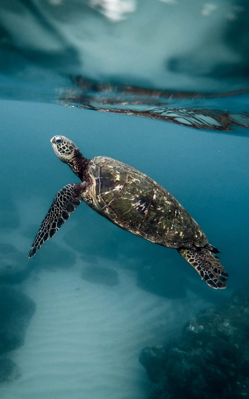 (B2B-markedsføring i 2026: hvad der faktisk ændrer sig, og hvad der ikke ændrer sig)